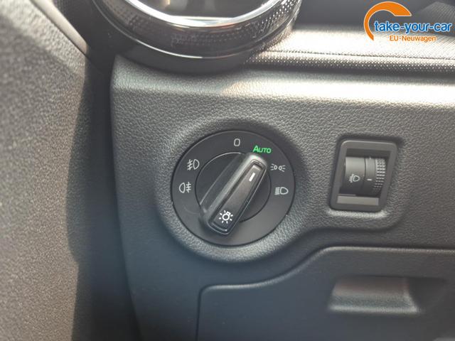 Skoda - Fabia - EU-Neuwagen - Reimport