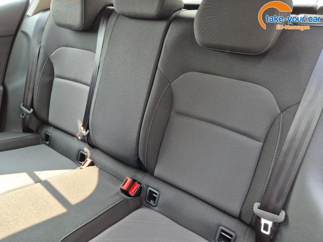 Skoda - Fabia - EU-Neuwagen - Reimport