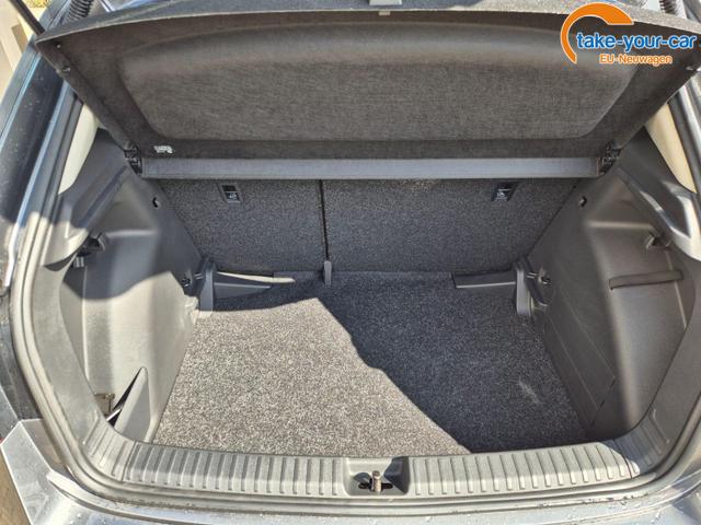 Skoda - Fabia - EU-Neuwagen - Reimport