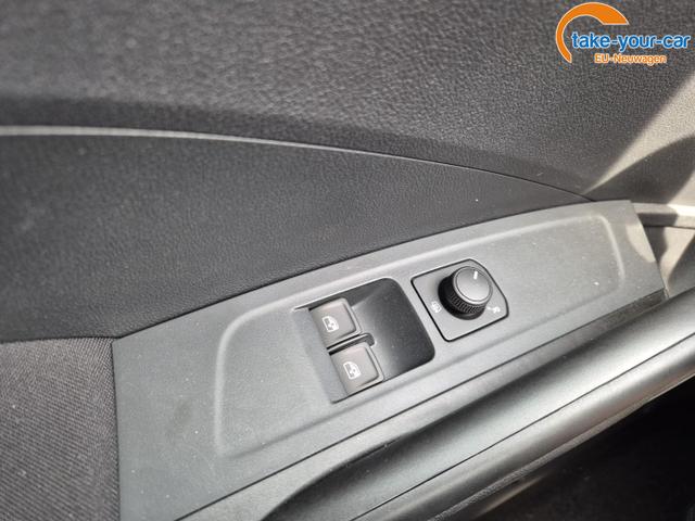 Skoda - Fabia - EU-Neuwagen - Reimport