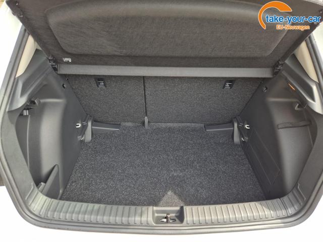 Skoda - Fabia - EU-Neuwagen - Reimport
