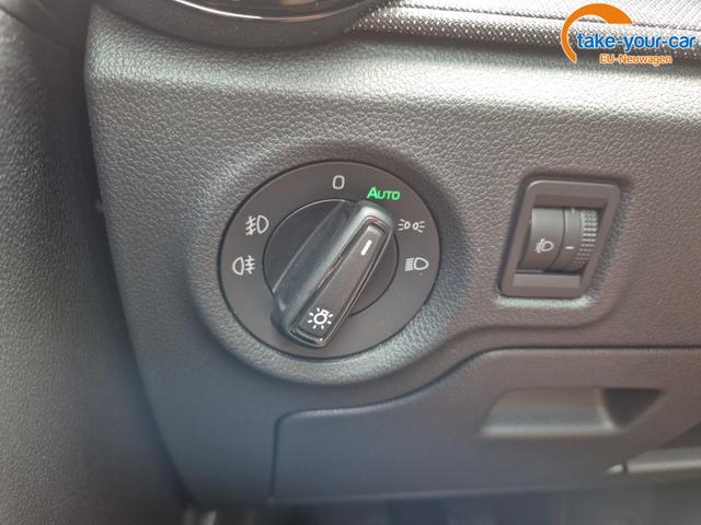 Skoda - Fabia - EU-Neuwagen - Reimport