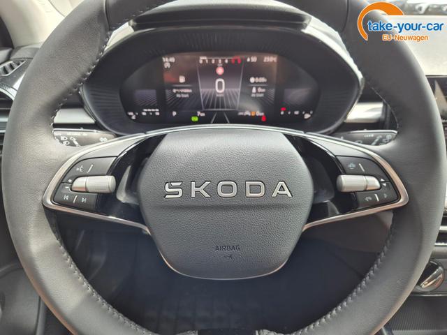 Skoda - Fabia - EU-Neuwagen - Reimport