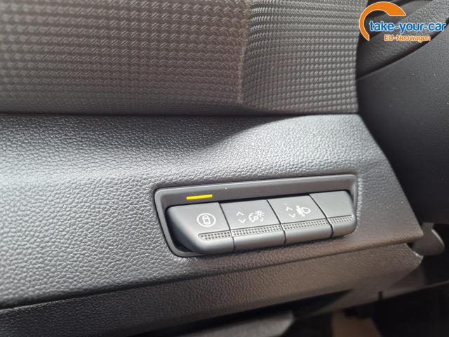 Renault - Trafic - EU-Neuwagen - Reimport