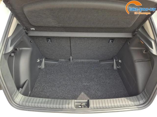 Skoda - Fabia - EU-Neuwagen - Reimport