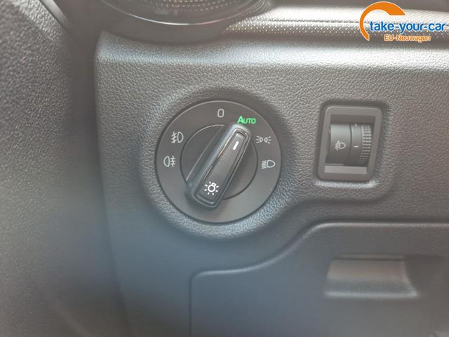 Skoda - Fabia - EU-Neuwagen - Reimport