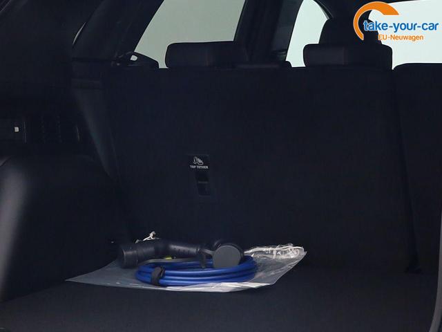 Ford - Kuga - EU-Neuwagen - Reimport