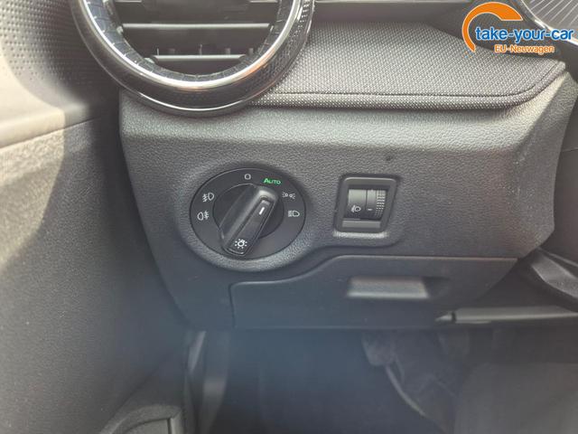 Skoda - Fabia - EU-Neuwagen - Reimport