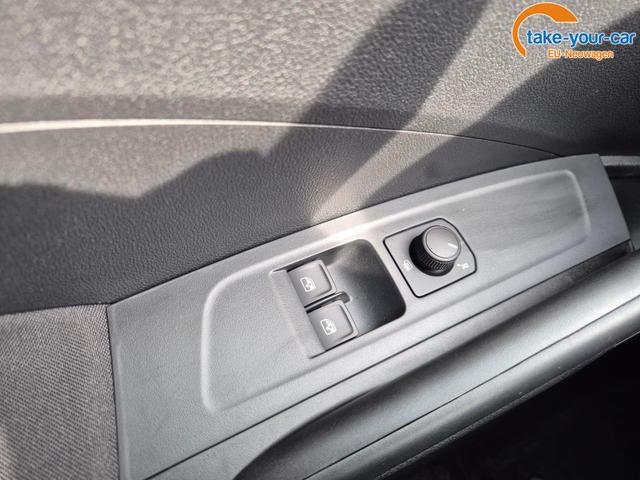 Skoda - Fabia - EU-Neuwagen - Reimport