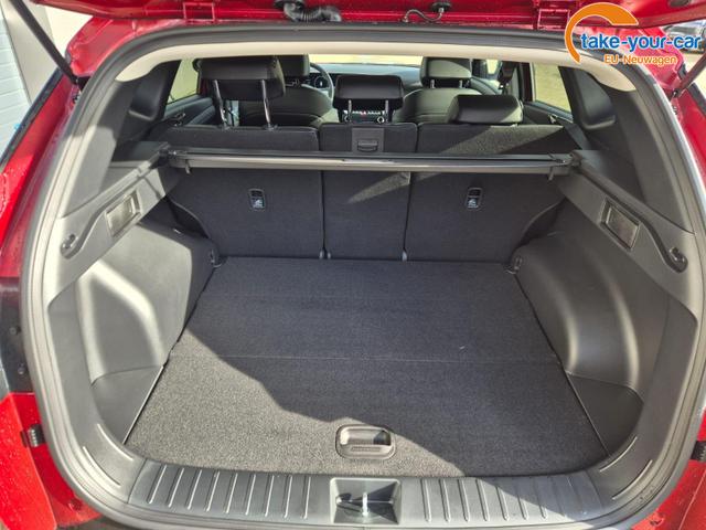 Hyundai - TUCSON - EU-Neuwagen - Reimport