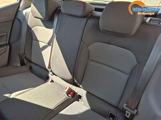 Skoda - Fabia - EU-Neuwagen - Reimport