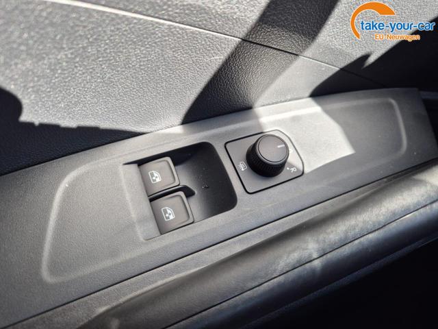 Skoda - Fabia - EU-Neuwagen - Reimport