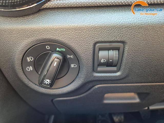 Skoda - Fabia - EU-Neuwagen - Reimport