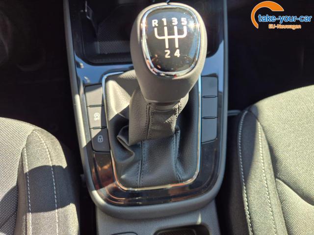 Skoda - Fabia - EU-Neuwagen - Reimport