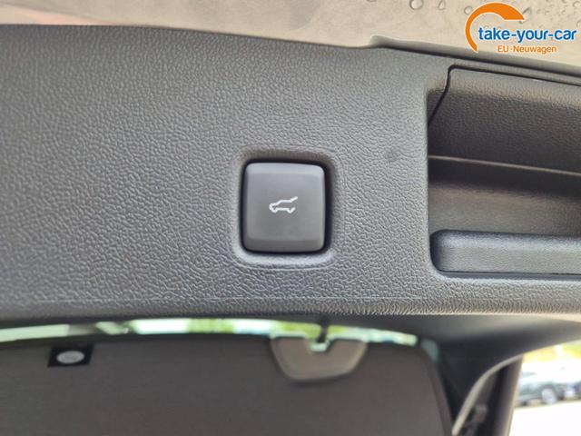 Ford - Kuga - EU-Neuwagen - Reimport
