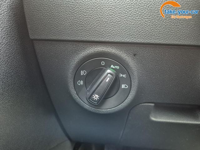 Skoda - Karoq - EU-Neuwagen - Reimport