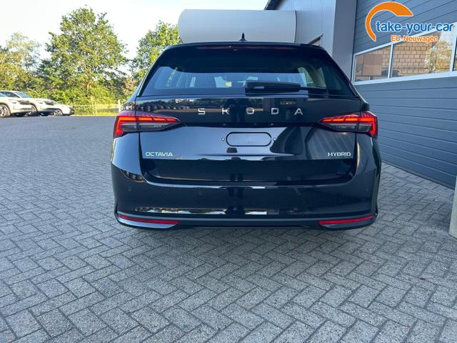 Skoda - Octavia Combi - EU-Neuwagen - Reimport