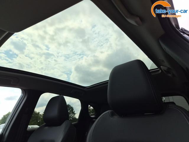 Nissan - Qashqai - EU-Neuwagen - Reimport