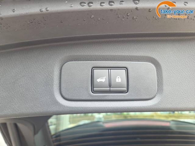 Nissan - Qashqai - EU-Neuwagen - Reimport