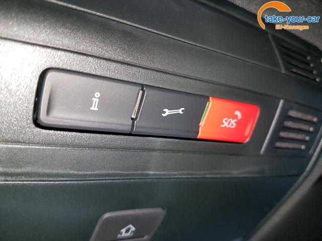 Skoda - Kamiq - EU-Neuwagen - Reimport
