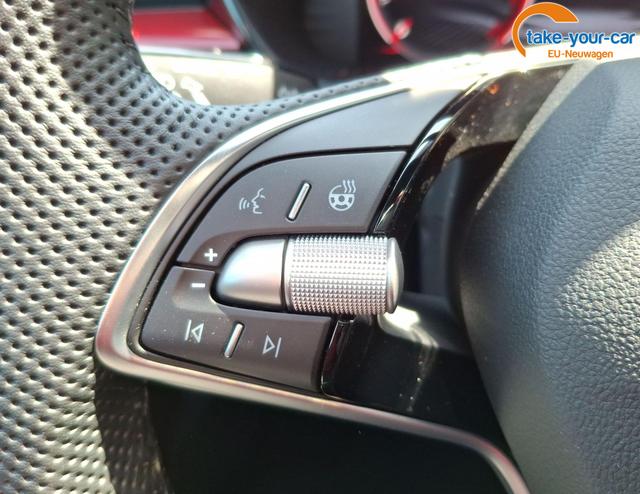 Skoda - Fabia - EU-Neuwagen - Reimport