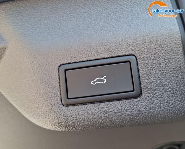 Volkswagen - T7 Multivan - EU-Neuwagen - Reimport