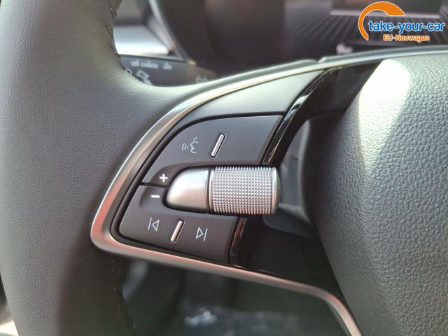 Skoda - Fabia - EU-Neuwagen - Reimport