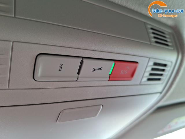 Skoda - Fabia - EU-Neuwagen - Reimport