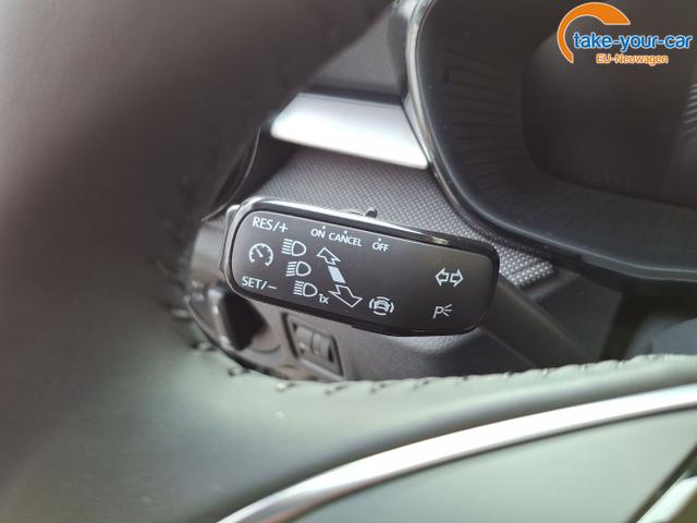 Skoda - Fabia - EU-Neuwagen - Reimport
