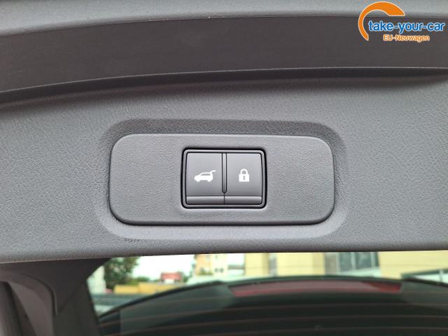 Nissan - Qashqai - EU-Neuwagen - Reimport