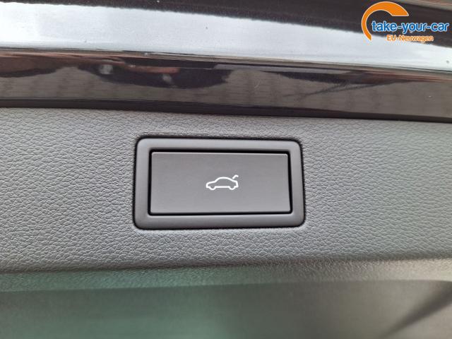 Skoda - Kamiq - EU-Neuwagen - Reimport