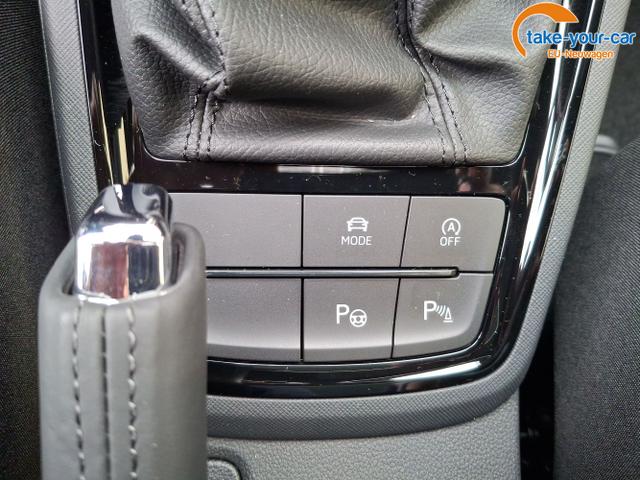 Skoda - Kamiq - EU-Neuwagen - Reimport