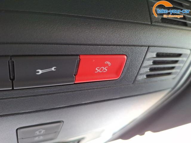 Skoda - Kamiq - EU-Neuwagen - Reimport