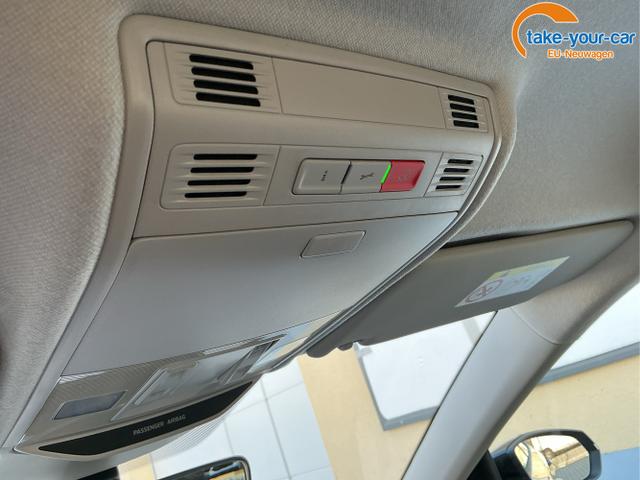 Skoda - Fabia - EU-Neuwagen - Reimport