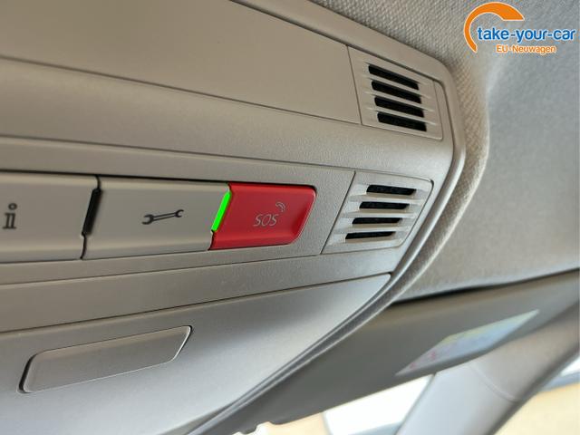 Skoda - Fabia - EU-Neuwagen - Reimport