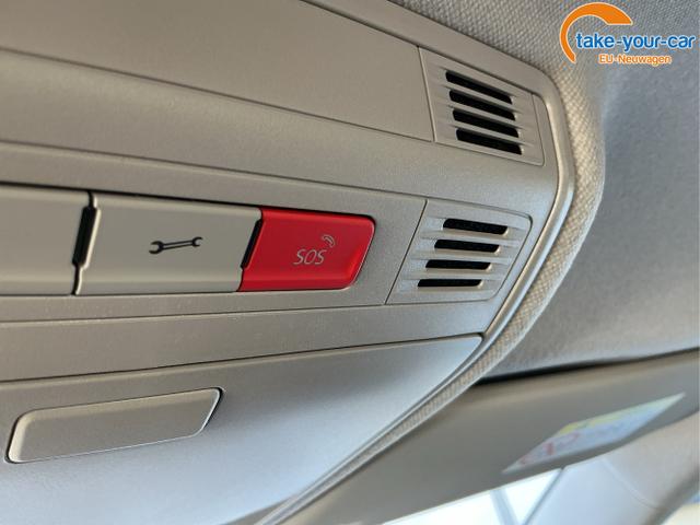Skoda - Fabia - EU-Neuwagen - Reimport