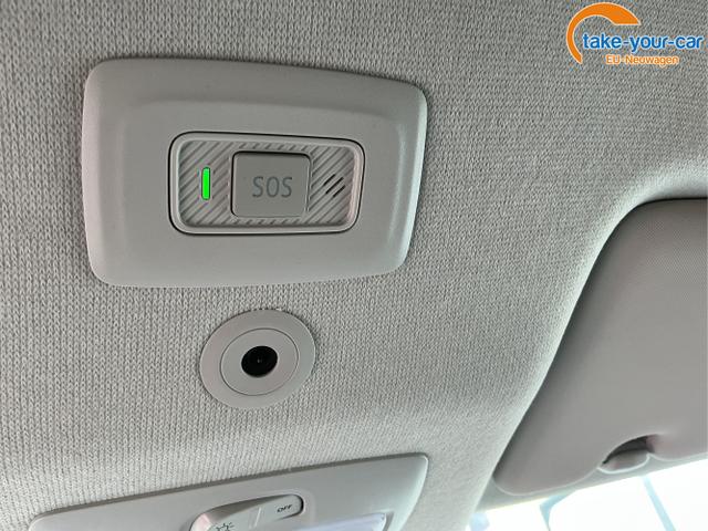 Dacia - Jogger - EU-Neuwagen - Reimport