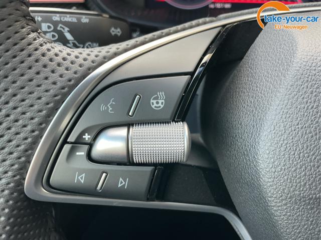 Skoda - Fabia - EU-Neuwagen - Reimport