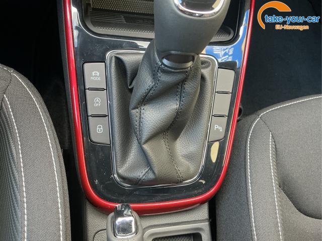 Skoda - Fabia - EU-Neuwagen - Reimport