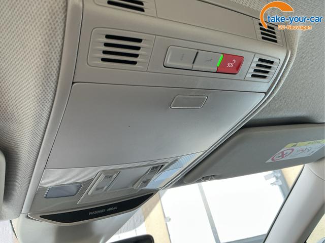 Skoda - Kamiq - EU-Neuwagen - Reimport