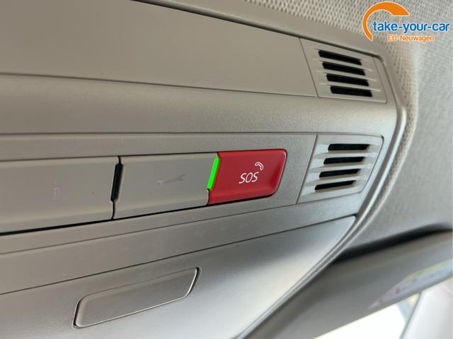 Skoda - Kamiq - EU-Neuwagen - Reimport