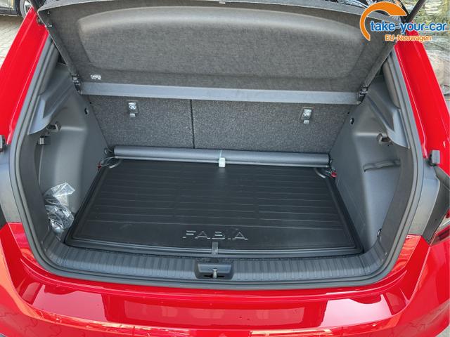 Skoda - Fabia - EU-Neuwagen - Reimport