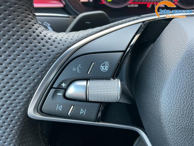 Skoda - Fabia - EU-Neuwagen - Reimport