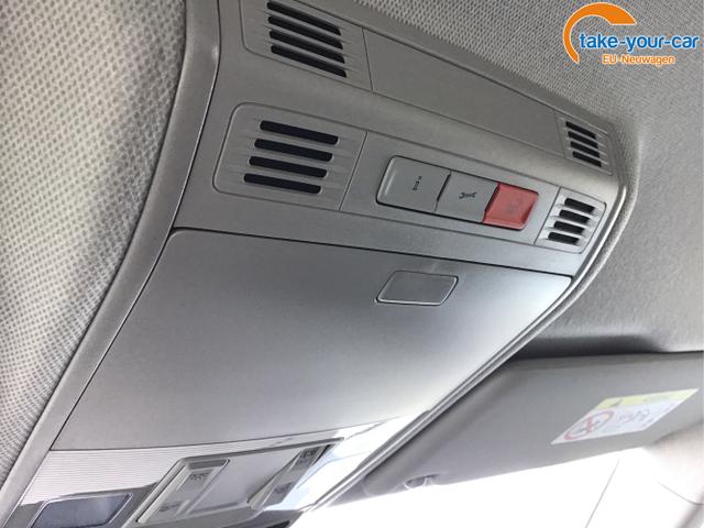 Skoda - Kamiq - EU-Neuwagen - Reimport