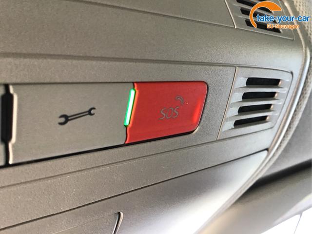 Skoda - Kamiq - EU-Neuwagen - Reimport