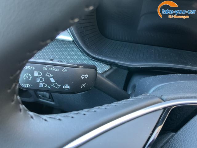 Skoda - Fabia - EU-Neuwagen - Reimport