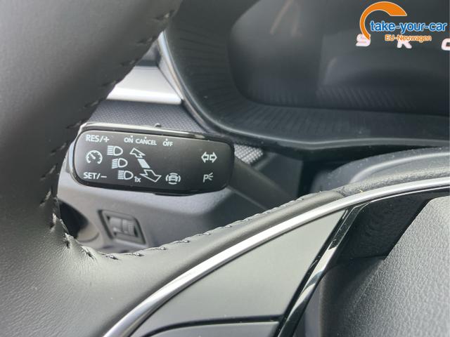Skoda - Fabia - EU-Neuwagen - Reimport