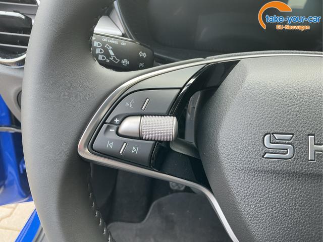 Skoda - Fabia - EU-Neuwagen - Reimport