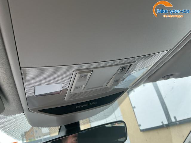 Skoda - Fabia - EU-Neuwagen - Reimport