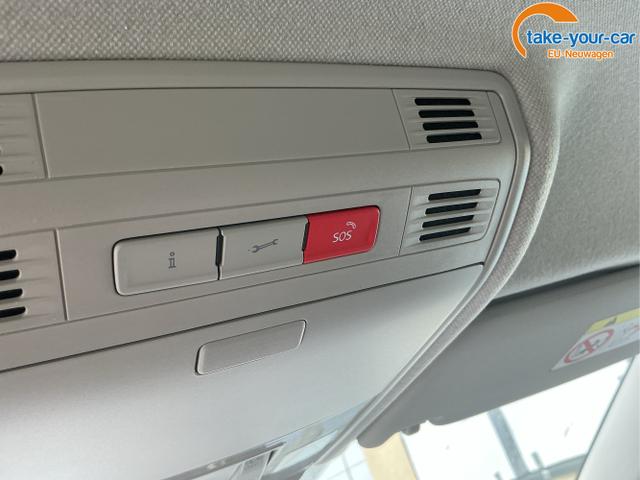 Skoda - Fabia - EU-Neuwagen - Reimport